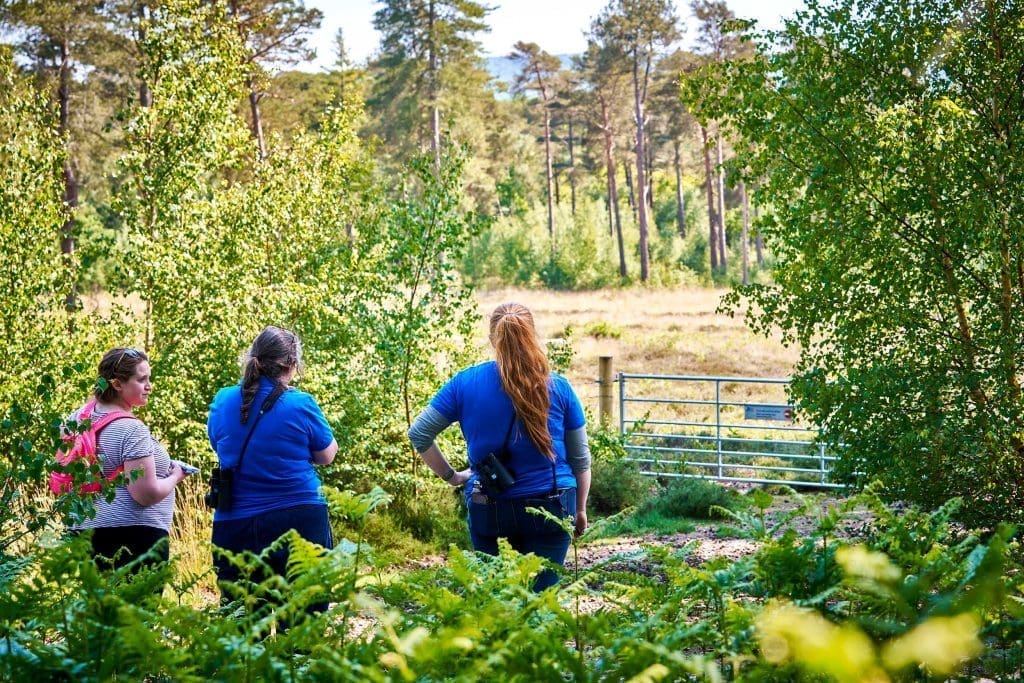 DSC08876 Three women stand in a woodland overlooking a field