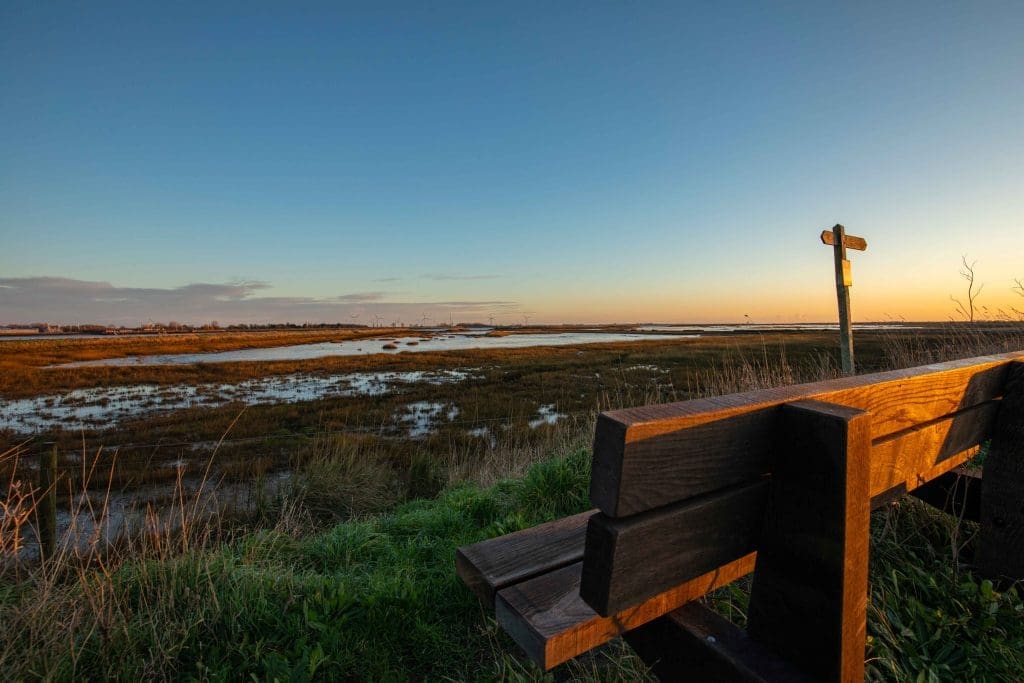 sunset over a sparse estuary landscape