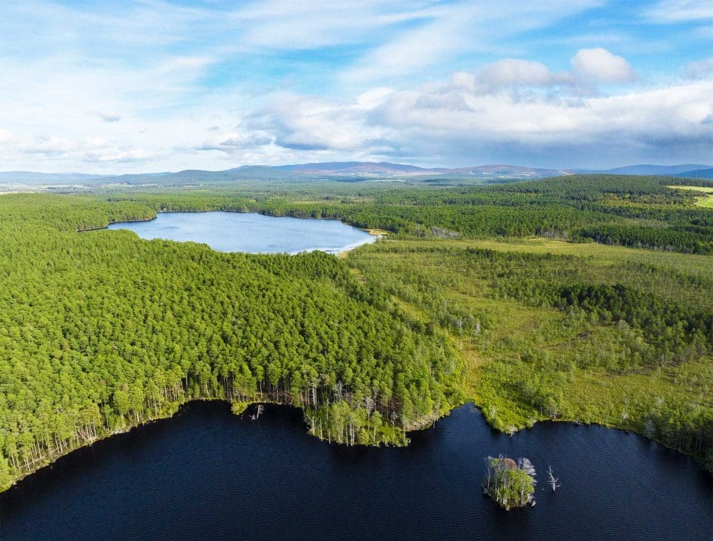 Aerial view of a pine forest, with two lochs visible