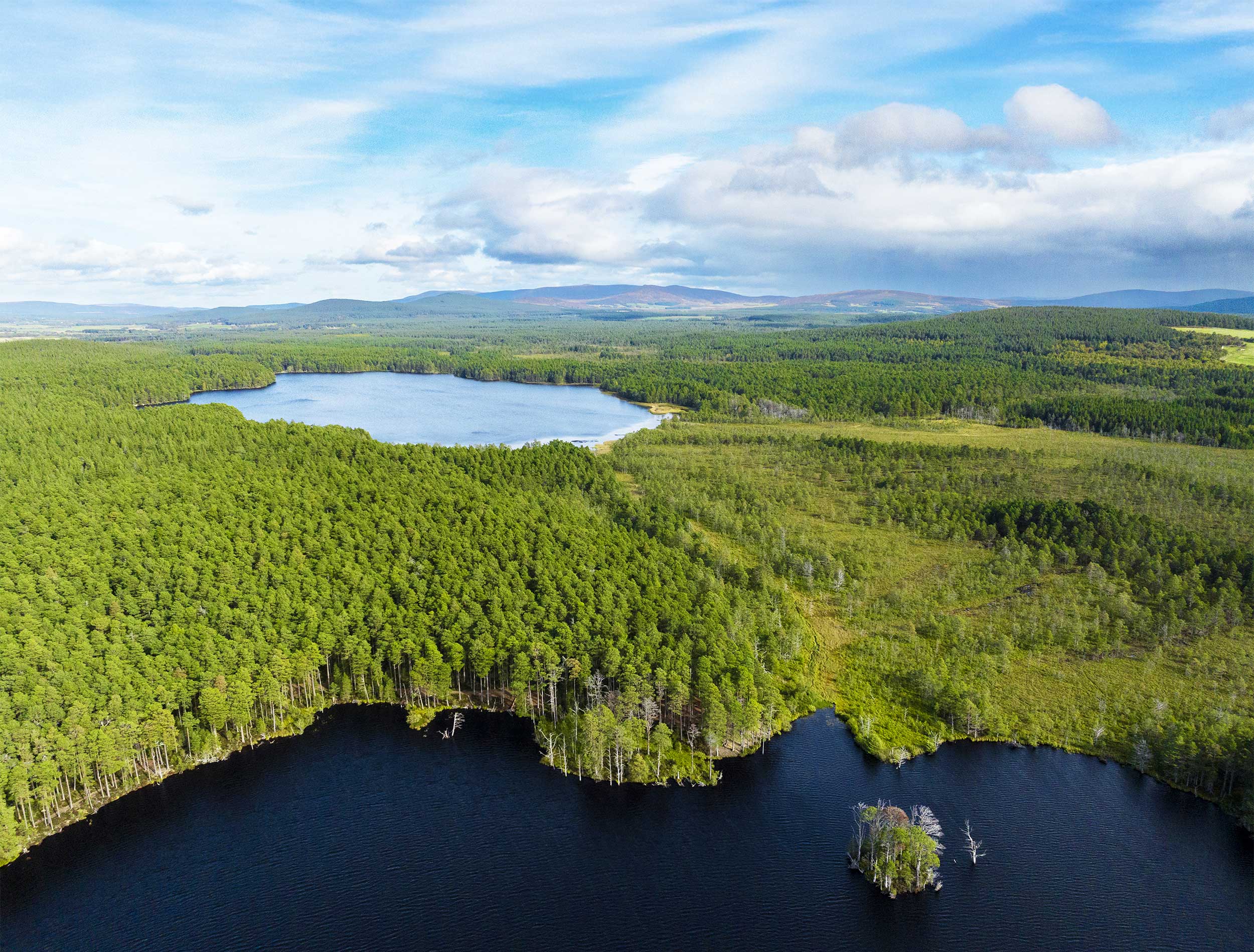 Aerial view of a pine forest, with two lochs visible