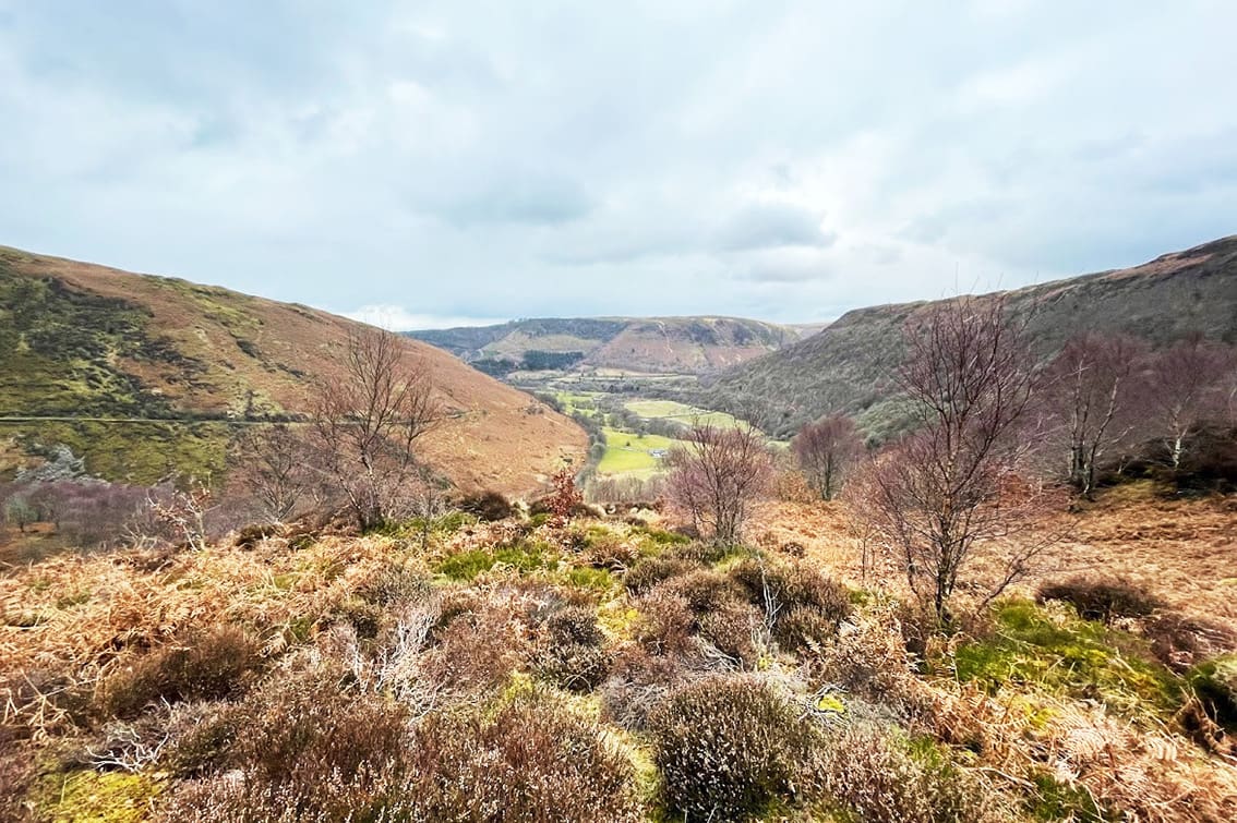 The valley-like scrub- and peatland corridor of Gallt-y-bere