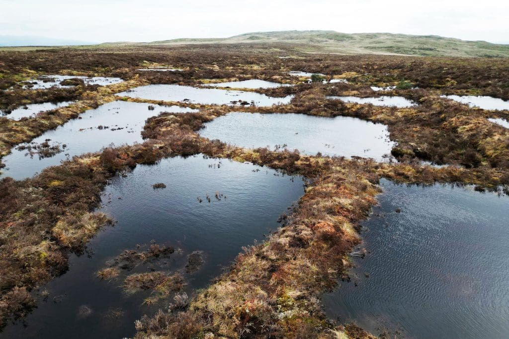 RSPB_1011397-RSPB--Martin-Clift A patchwork peatland landscape of small rectangles of water surrounded by brown borders of plants and soil.